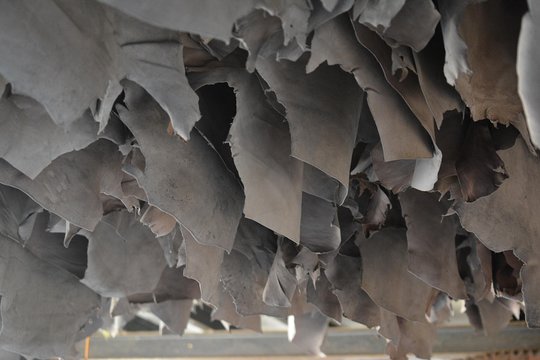Tour image 13